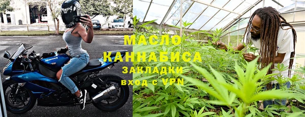 мдпв Михайлов