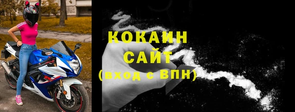 молекула духа Мегион