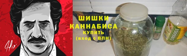 молекула духа Мегион