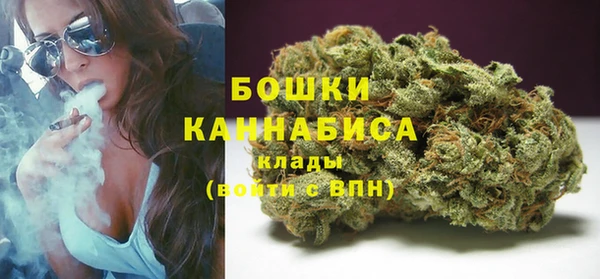 тгк Медногорск
