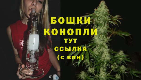 молекула духа Мегион